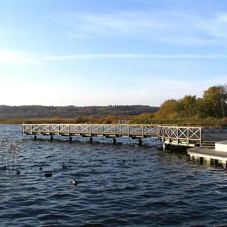 Pustblume - Stranddistel Prázdninový dům Binz