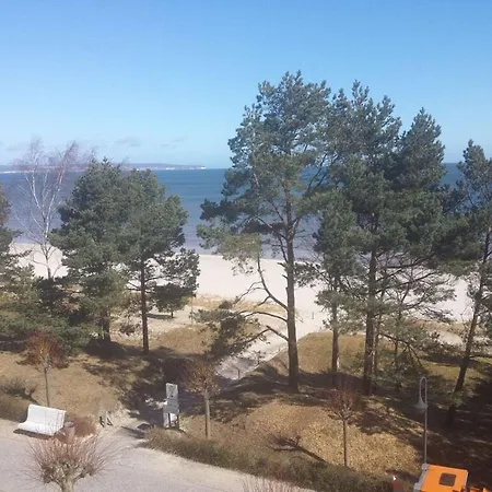 Pustblume - Stranddistel